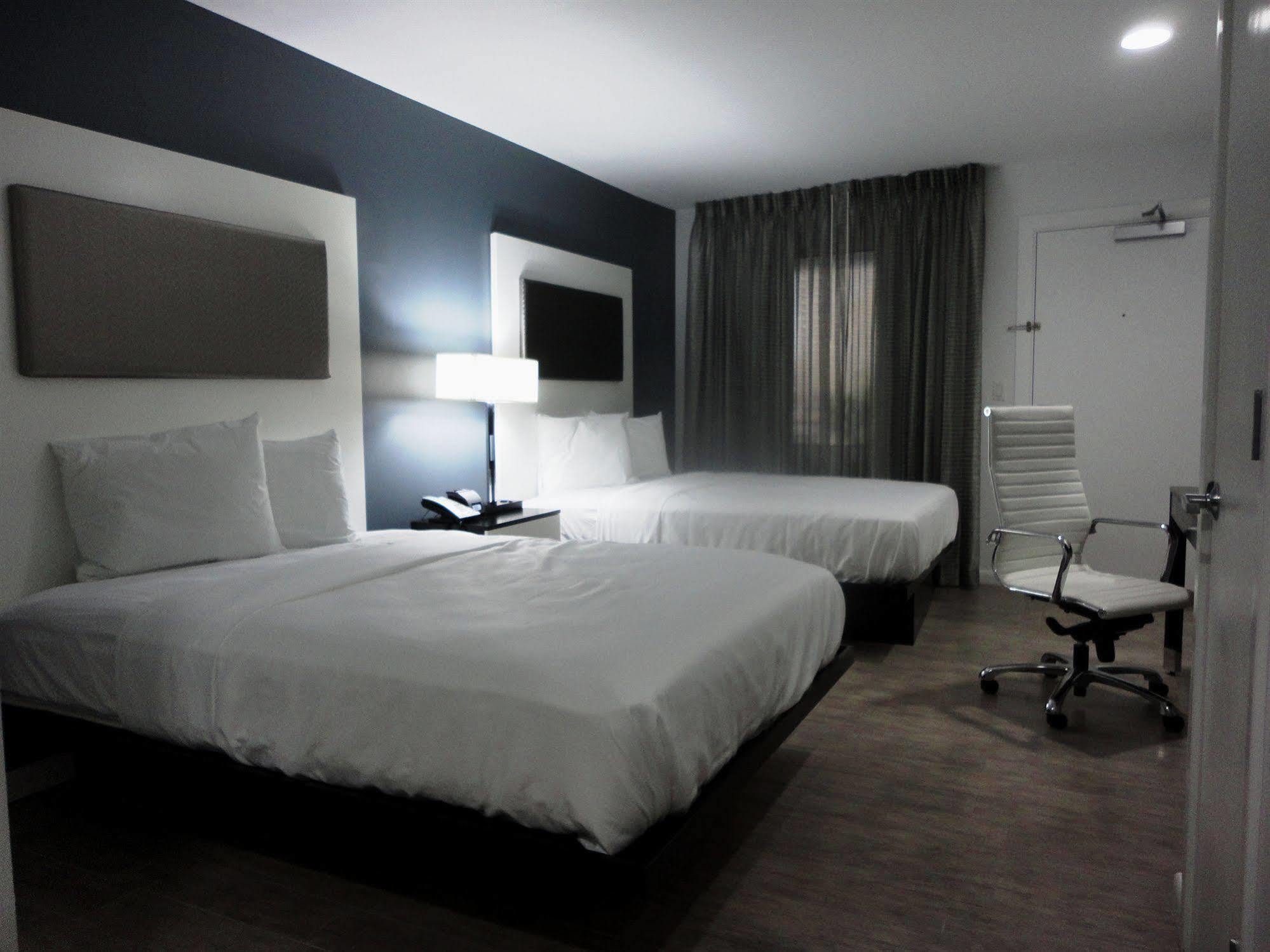 Lotus Boutique Inn And Suites شاطئ أورموند المظهر الخارجي الصورة
